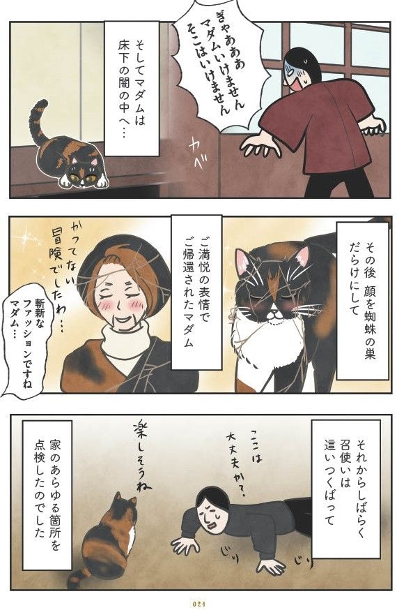 マダム猫の古民家暮らし