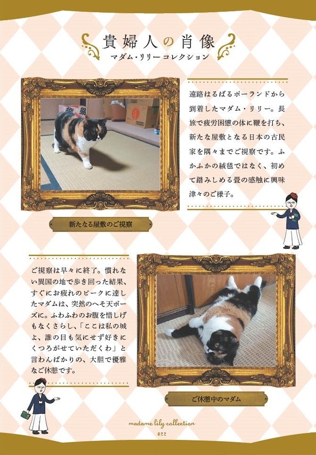 マダム猫の古民家暮らし