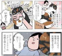 「奥様そんな恥ずかしいカッコを…」外国育ちのマダム猫、日本の古民家で“へそ天”暮らし【漫画】