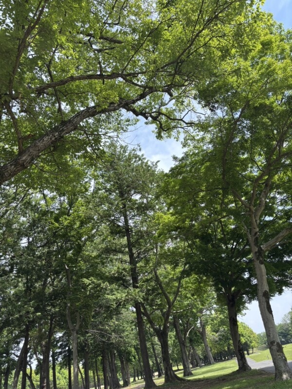 上級ゴルファーが教える「100切りのための7つの練習」！