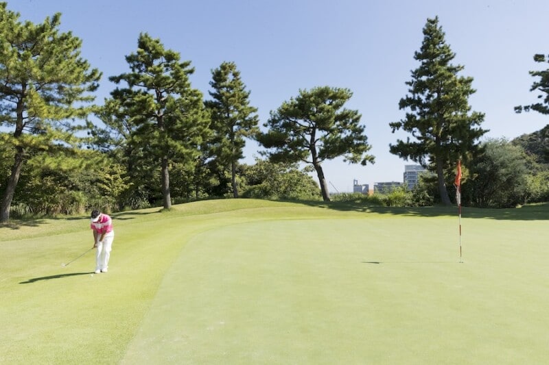 “チップイン”を決めるコツ！男子プロがわかりやすく解説