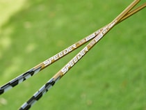 女子プロ高評価のシャフトはアマチュアにもオススメ！新シャフトを紹介