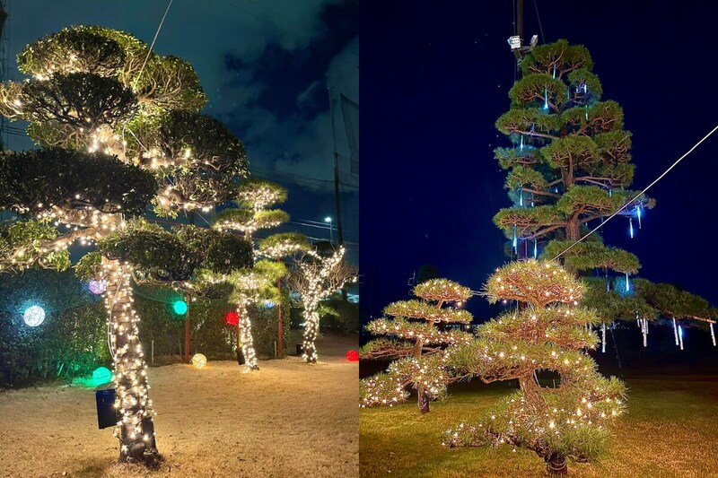 冬のナイターゴルフを楽しめる“ある施策”とは？