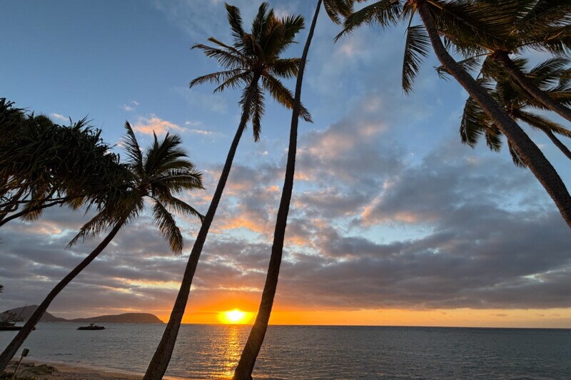 ソニーオープンがなくなるかも⁉ 原因はあの人気スポーツにあるのだとか…？