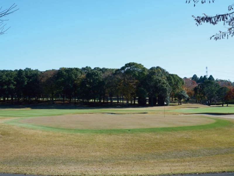 夏も全面きれいな緑!12フィートは出るグリーンを楽しめるゴルフ場