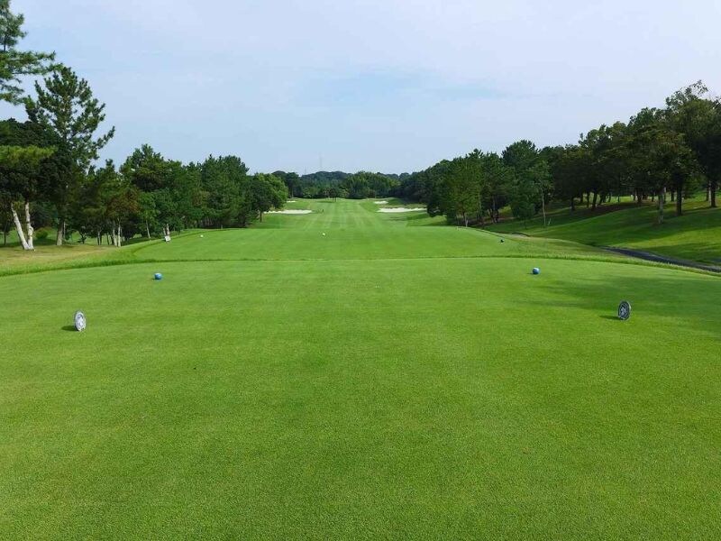 ドライバーの打ち方｜初心者向けの基本と飛距離を伸ばす練習方法