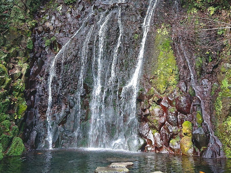伏流水が湧き出る箱根湯本の名瀑庭園