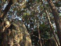 古墳時代から信仰されている神の依る磐座