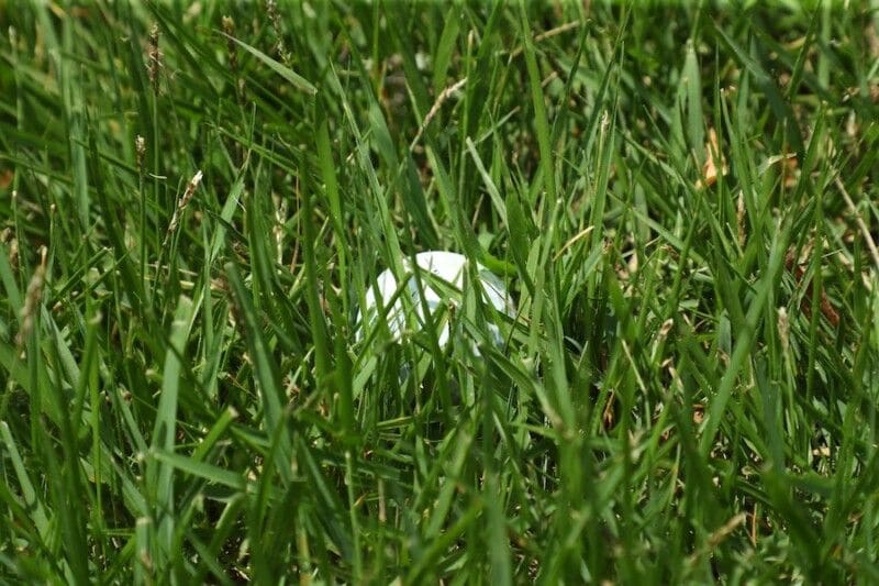 夏の深いラフはどう打つのが正解？男子プロが脱出法を紹介
