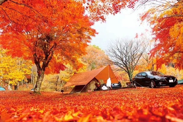 初心者におすすめ！キャンピングカーが利用できるキャンプ場12選【兵庫県】