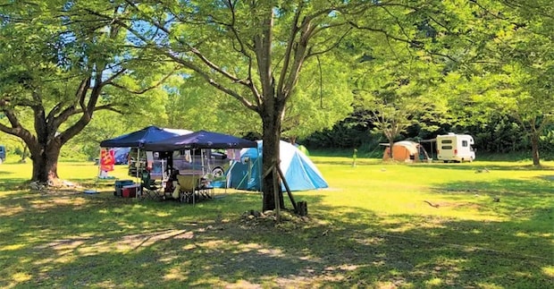 初心者におすすめ!キャンピングカーが利用できるキャンプ場12選【和歌山県】