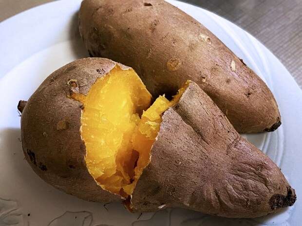 女子ソロは秋キャンで何して過ごす？初めてでも安心！簡単にできる楽しむためのコツを紹介！