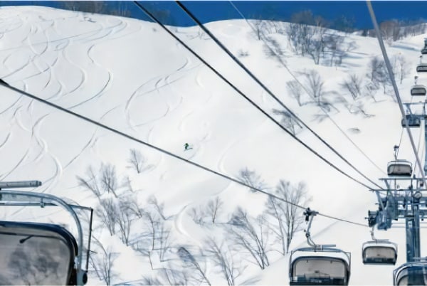 アライマウンテンリゾートが50歳以上向け新リフト券「50+」を導入！今季運用開始