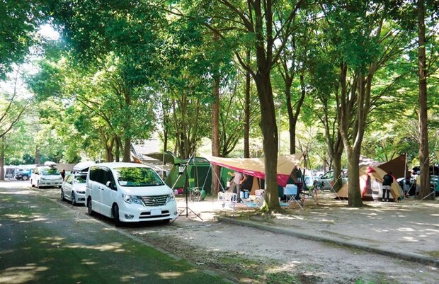 今さら聞けない！「オートキャンプ」の正しい知識知ってる？