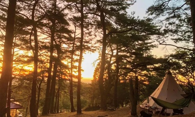 初心者におすすめ！キャンピングカーが利用できるキャンプ場12選【岡山県】