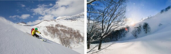 アライマウンテンリゾートはスキーだけじゃない！子どもから大人まで楽しめるスノーリゾート