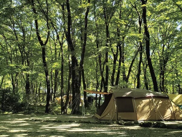 天然温泉に入れる!絶対に行きたいキャンプ場15選【栃木県2025年版】