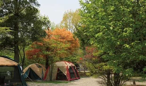 天然温泉に入れる！絶対に行きたいキャンプ場15選【栃木県2025年版】