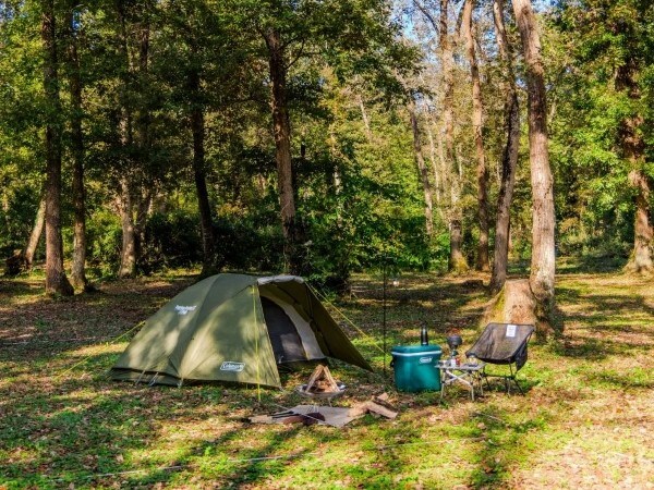 女子ソロキャンプの「夜のトイレ問題」を解決！簡単にできるトイレ対策3選を紹介！