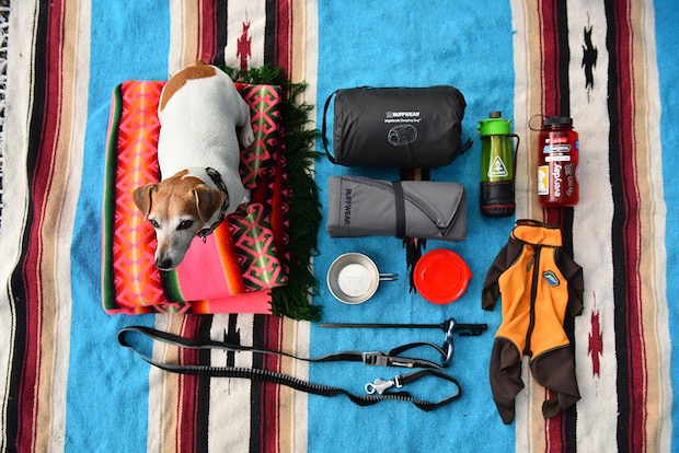 すごすぎて真似できない! 達人キャンパーたちの究極のキャンプ術が天才すぎる