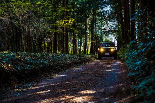 すごすぎて真似できない！ 達人キャンパーたちの究極のキャンプ術が天才すぎる