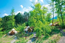 天然のプラネタリウム！満天の星空を楽しめるキャンプ場12選【山梨県】