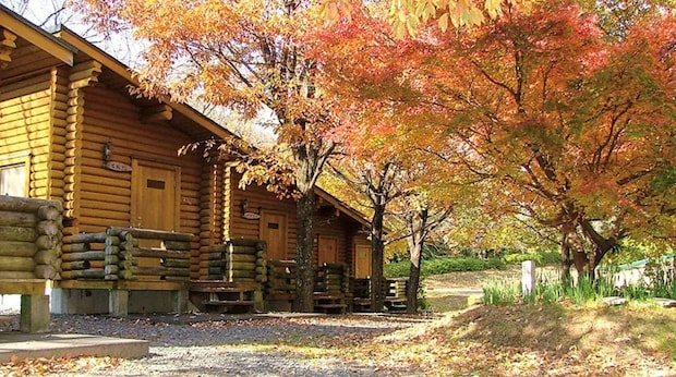 天然のプラネタリウム!星空を楽しめるキャンプ場12選【静岡県】