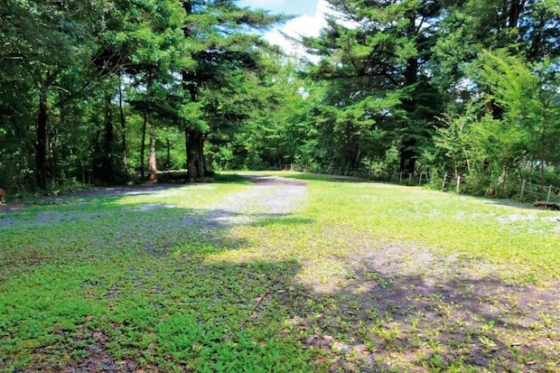 天然のプラネタリウム!星空を楽しめるキャンプ場12選【静岡県】