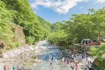 人気ランキング・ベスト15【東日本】