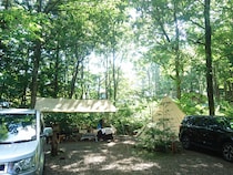 人気ランキング・ベスト15【西日本】