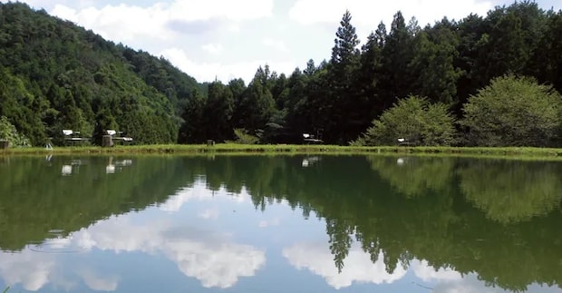 天然のプラネタリウム！星空を楽しめるキャンプ場10選【栃木県】