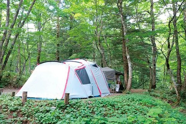 ノミネートキャンプ場を発表!!<最終一般投票も開始>読者と編集部がベストキャンプ場を選ぶ【GARVY AWARD 2025】