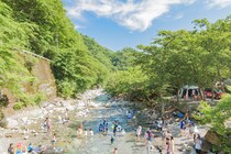 人気ランキング・ベスト15【東日本】