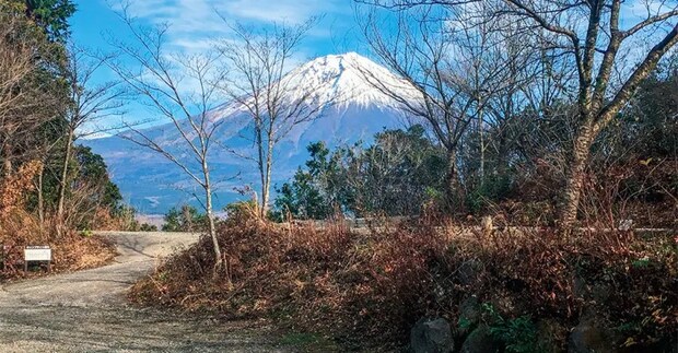 初心者におすすめ!キャンピングカーが利用できるキャンプ場16選【静岡県】