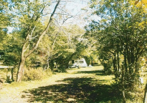 初心者におすすめ!キャンピングカーが利用できるキャンプ場16選【静岡県】