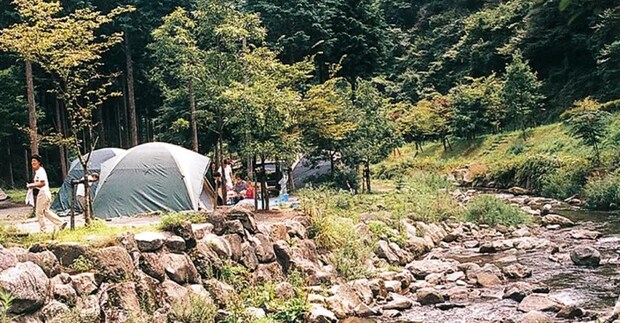 初心者におすすめ!キャンピングカーが利用できるキャンプ場16選【静岡県】