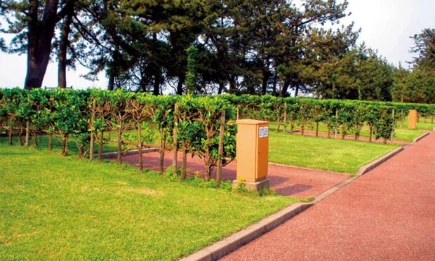 初心者におすすめ！キャンピングカーが利用できるキャンプ場12選【富山県・石川県・福井県】