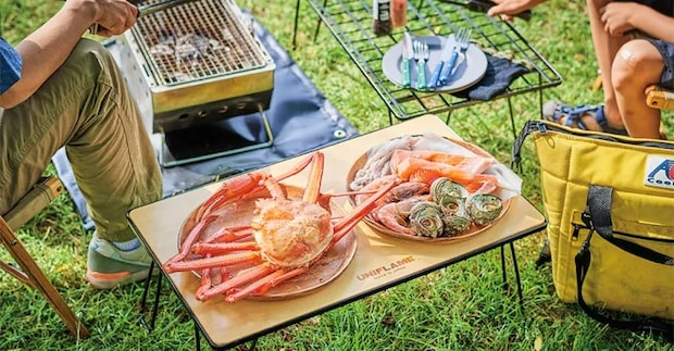 初心者におすすめ！キャンピングカーが利用できるキャンプ場11選【新潟県】