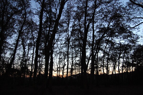 秋キャンプの注意点とは？意外と知らない気をつけるべきことを徹底解説！