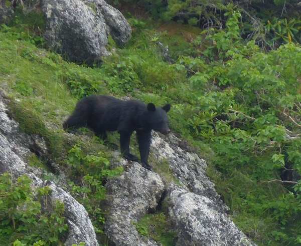 秋キャンプの注意点とは？意外と知らない気をつけるべきことを徹底解説！