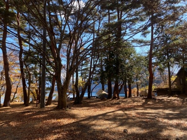 秋キャンプを120％楽しむ秘訣と快適に過ごすためのポイントを徹底解説