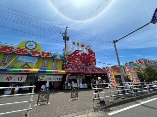 上級キャンパーが実際にやってる！誰でも簡単にできる暑さ対策の工夫が凄すぎる…！