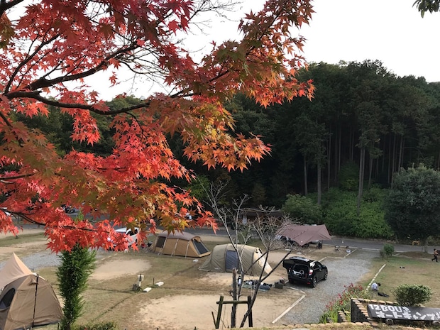天然温泉や紅葉狩りが楽しめる！秋に絶対に行きたいキャンプ場まとめ