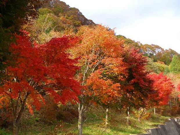 天然温泉や紅葉狩りが楽しめる！秋に絶対に行きたいキャンプ場まとめ