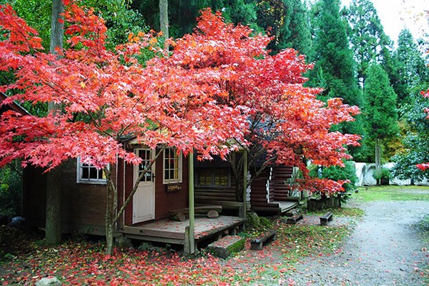 天然温泉や紅葉狩りが楽しめる！秋に絶対に行きたいキャンプ場まとめ