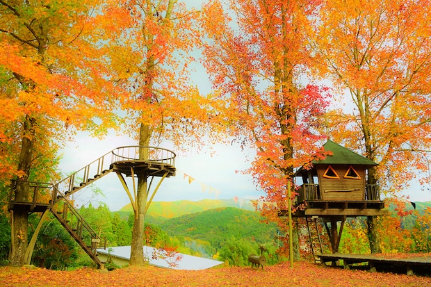 天然温泉や紅葉狩りが楽しめる！秋に絶対に行きたいキャンプ場まとめ