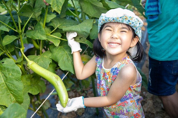 天然温泉や紅葉狩りが楽しめる！秋に絶対に行きたいキャンプ場まとめ