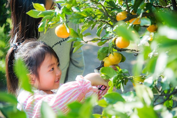 天然温泉や紅葉狩りが楽しめる！秋に絶対に行きたいキャンプ場まとめ