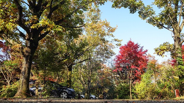 天然温泉や紅葉狩りが楽しめる！秋に絶対に行きたいキャンプ場まとめ