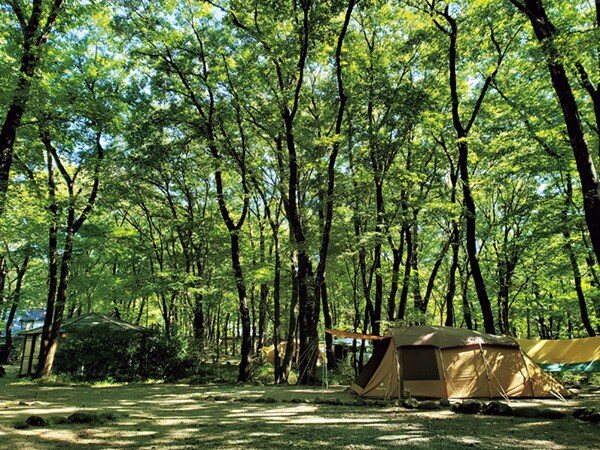 天然温泉や紅葉狩りが楽しめる！秋に絶対に行きたいキャンプ場まとめ